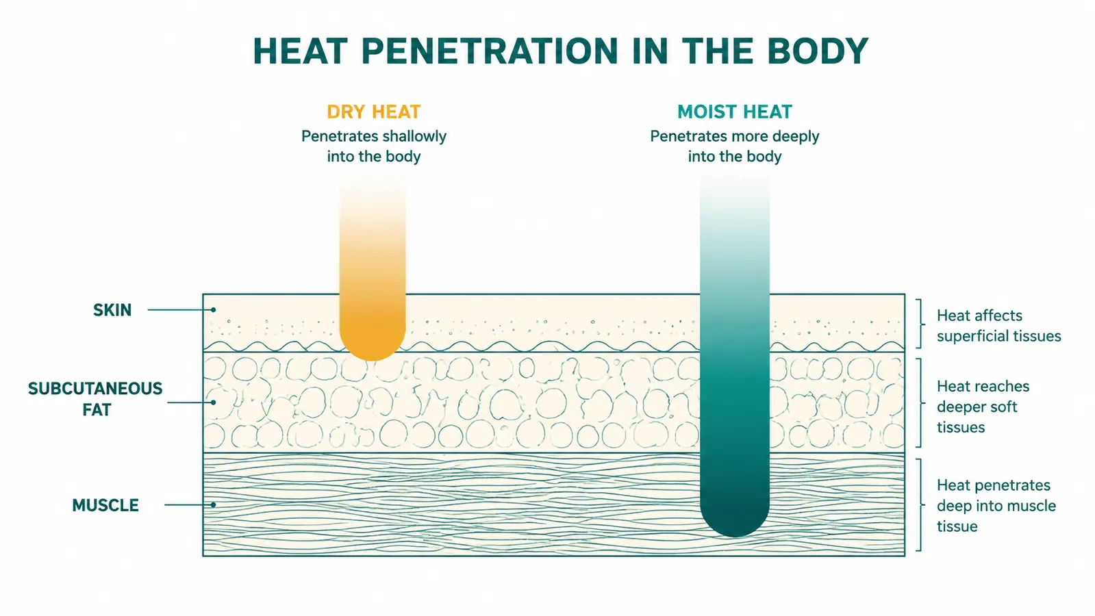 Diagram comparing tissue temperature penetration depth for moist heat versus dry heat across three muscle layers